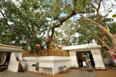 Anuradhapura: 14 Ancient City Sites Tuk Tuk Tour - Price and Value: The Tour Fee vs UNESCO Entry Tickets