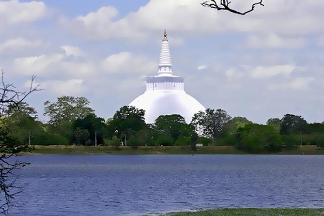 Anuradhapura: 14 Ancient City Sites Tuk Tuk Tour - Stop 2: Ranmasu Uyana (Magul Uyana) for the Sacred Park Feel