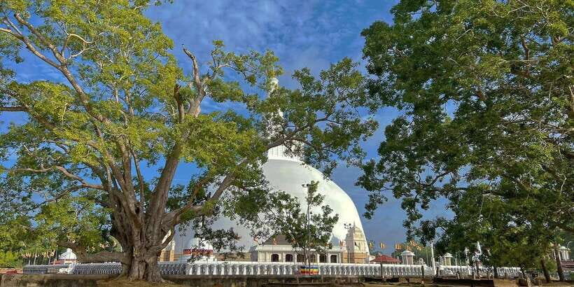 Anuradhapura Private Ancient City Day Tour - Key things to know before you go