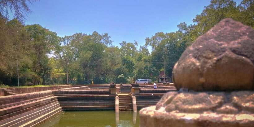Anuradhapura Private Ancient City Day Tour - Sri Maha Bodhi: a living focal point for questions