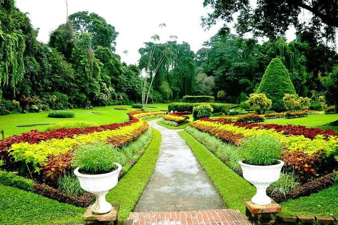 Around Sri Lanka Tours - Polonnaruwa and Pidurangala: Bicycle Options and a Long Active Day
