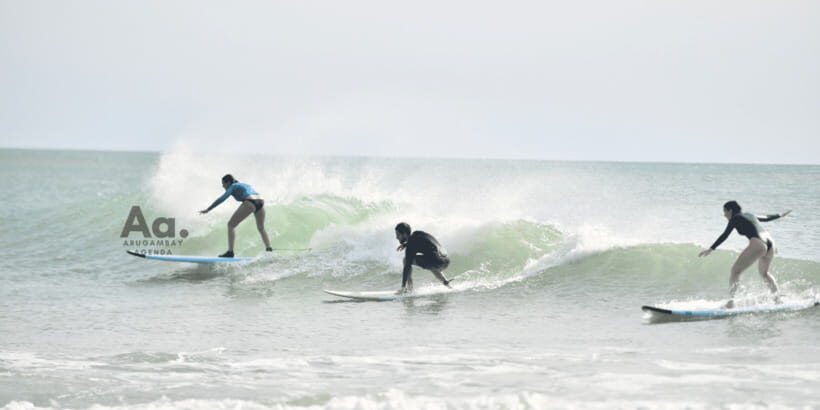 Arugam Bay Surf Lessons : Beginner Surf Experience - Spot practice in Arugam Bay: Baby Point, Peanut Farm, and Elephant Rock
