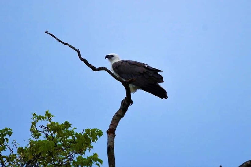 Arugambay :Pottuvil Lagoon Boat Safari Eco Tours - Price and value: what $25 covers (and why it adds up)