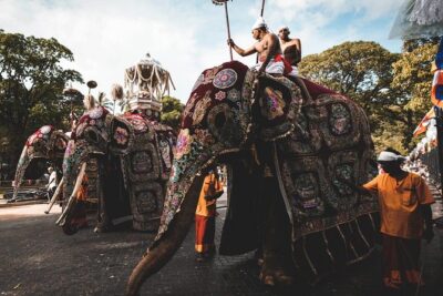 August Kandy Festive Tour - Colombo first day: Gangaramaya, Old Parliament, Dutch Hospital, and the National Museum