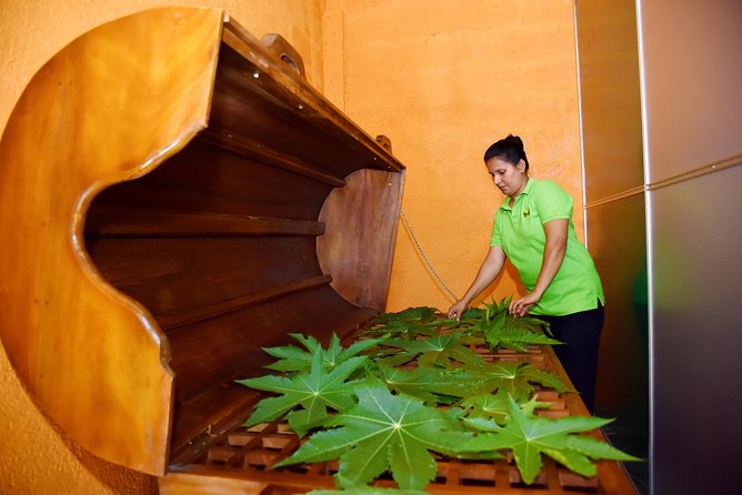 Ayurveda Day Package - Key highlights you’ll actually care about