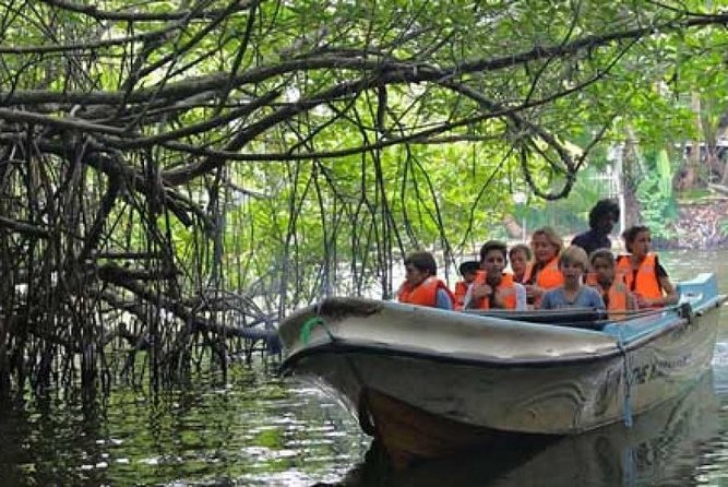 Bentota River Boat Safari with Private Boat Beruwala/Bentota/Kosgoda/Ahungalla - Pickup in Bentota and Nearby: Getting There Without Losing Time