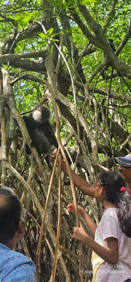 Bentota River Safari -Ahungalla/Bentota/Aluthgama/Kosgoda - Who This Private River Safari Fits Best