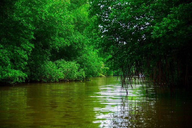 Bentota River Safari By BTM (Mangrove & Wildlife Encounter) - Your Guide and Captain: Why Names Keep Coming Up