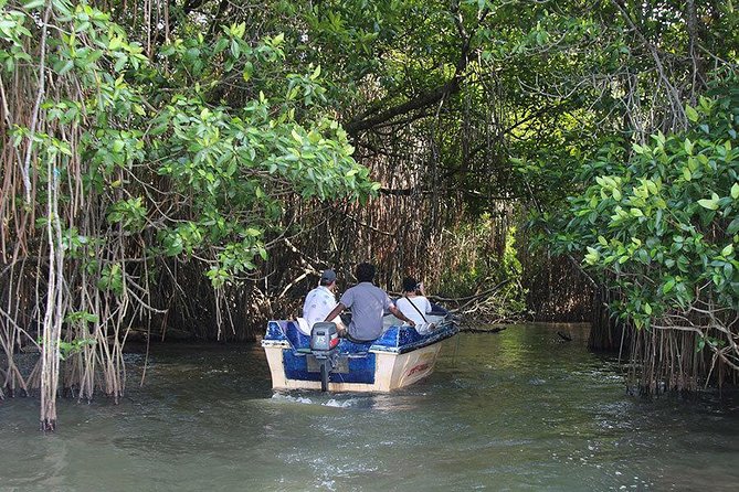 Bentota River Safari By BTM (Mangrove & Wildlife Encounter) - Nature Etiquette: How to Get Better Wildlife Chances