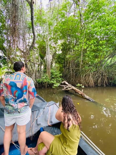 Bentota River Safari: Discover Wildlife & Mangroves by Boat - Who this Bentota River Safari is best for