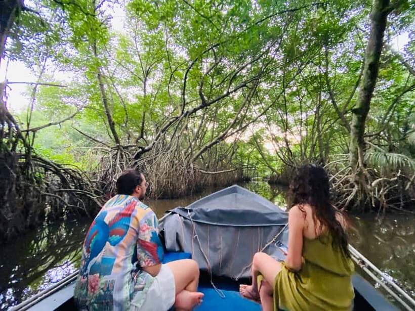 Bentota River Safari: Discover Wildlife & Mangroves by Boat - Guide-led spotting: the names I noticed and what they signal for you
