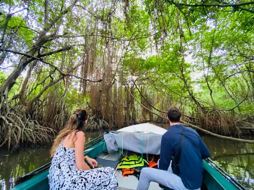 Bentota River Safari: Discover Wildlife & Mangroves by Boat - Price and value: is $20 for 2 hours actually fair?