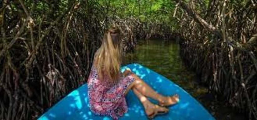 Bentota: River Safari with Hotel Pickup and Drop-Off - Bentota River safari: what the 2-hour experience feels like