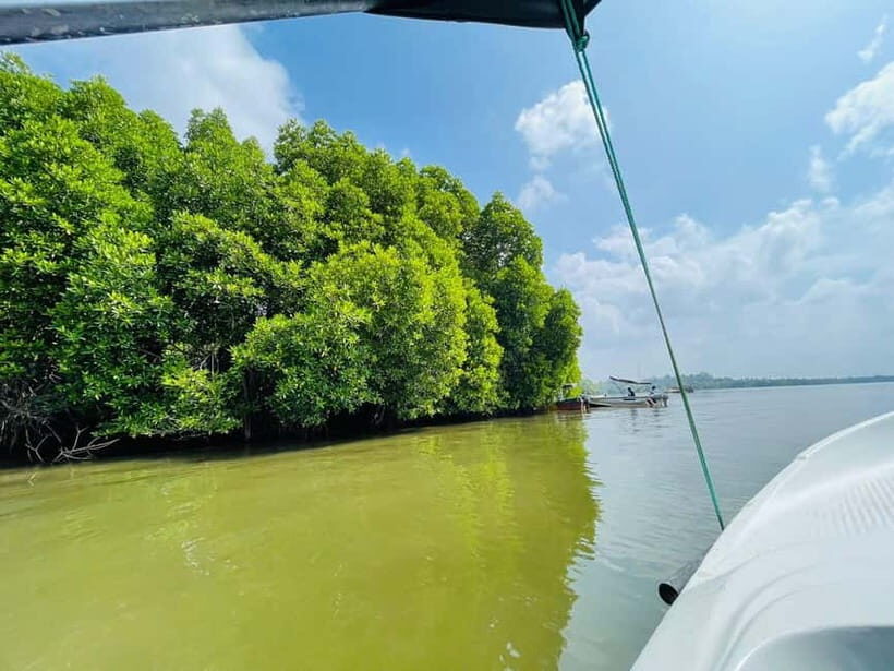 Bentota: River Safari with Hotel Pickup and Drop-Off - Practical details: what to bring, what to wear, and how to stay comfortable