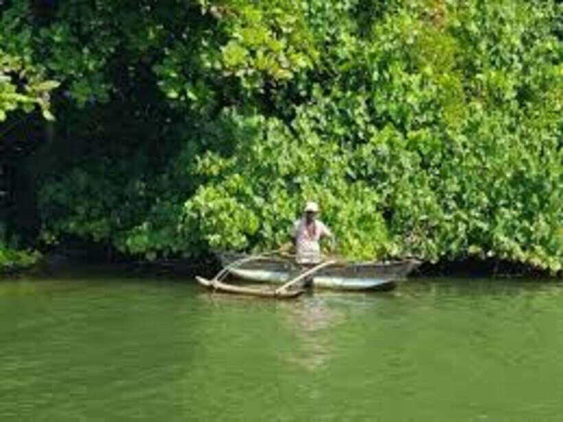 Bentota: River Safari with Hotel Pickup and Drop-Off - Pickup and drop-off: the smooth Bentota-area logistics