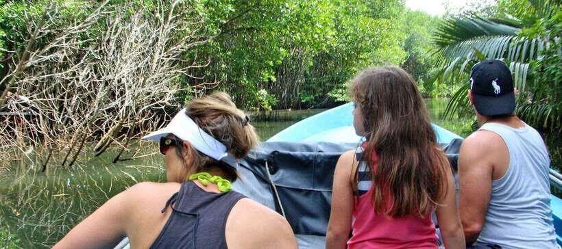 Bentota River Safari with Mangrove and Wildlife Encounter - Guides, Photos, and the Small Hospitality Touches