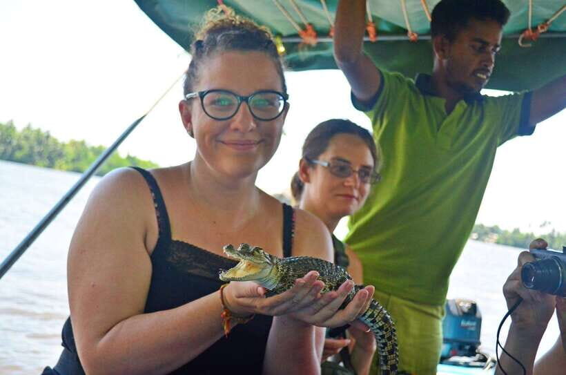 Bentota River Safari with Mangrove and Wildlife Encounter - Pickup, Getting to the Water, and Why Timing Matters