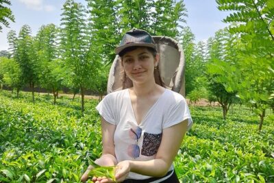 Bentota Village Tour with River Safari & Tea Plantation/Factory - All Inclusive - Morning start from Bentota area hotels
