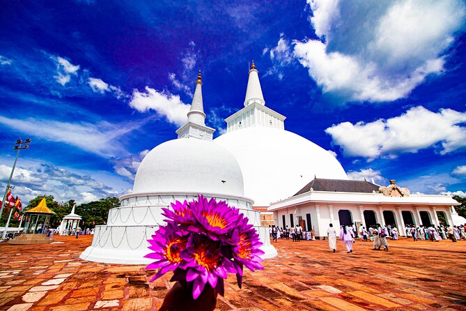 Best of Sri Lanka in two weeks - Price and logistics: what’s included vs. what you’ll pay on the ground