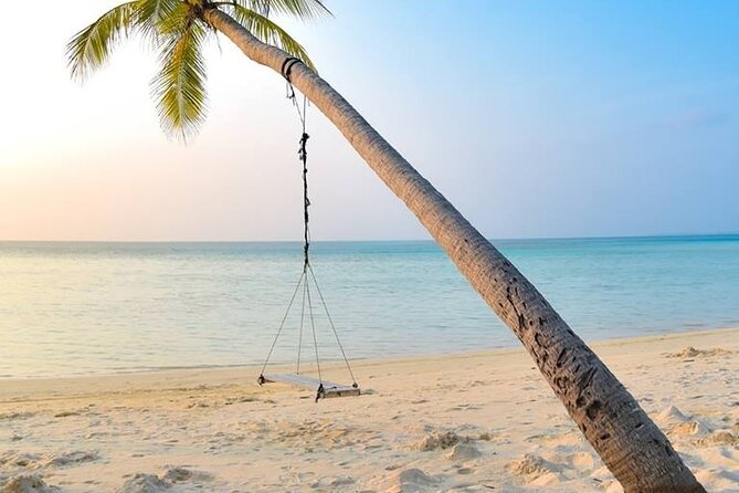 Budget Tours Sri Lanka with 7 Nights accommodation - Day 5: Nine Arches Bridge en route to Yala, then an evening 4x4 safari