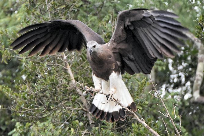 Bundala Birding Paradise - All Inclusive Tour - Where Bundala Birding Paradise fits on a Sri Lanka trip