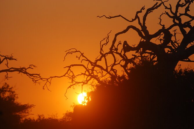Bundala Birds Safari by Jeeps - Itinerary focus: Kamal Safari Bundala Park and what the time is likely used for