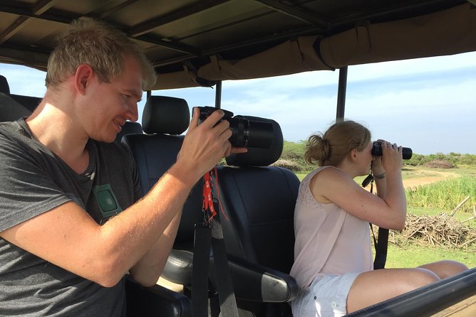Bundala Birds Safari by Jeeps - Guides that speak English: why it changes everything for birding