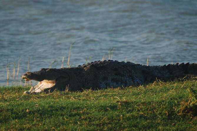 Bundala Birds Safari by Jeeps - Price and value in Hambantota: what $55 gets you