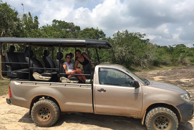 Bundala Birds Safari by Jeeps - Who this safari is best for (and who should think twice)