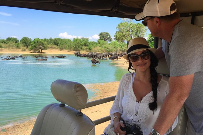 Bundala National Park Safari - Key things I’d plan around before you go