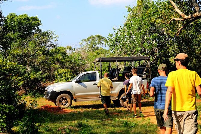 Bundala National Park Safari - Food and Value: Is $88 a Fair Deal?