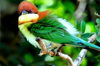 Bundala National Park Safari (PRIVATE TOURS)- Morning & Afternoon - From Tissamaharama to Bundala: Stress-Free Transfers That Matter