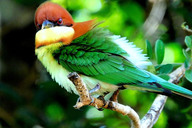 Bundala National Park Safari (PRIVATE TOURS)- Morning & Afternoon - From Tissamaharama to Bundala: Stress-Free Transfers That Matter