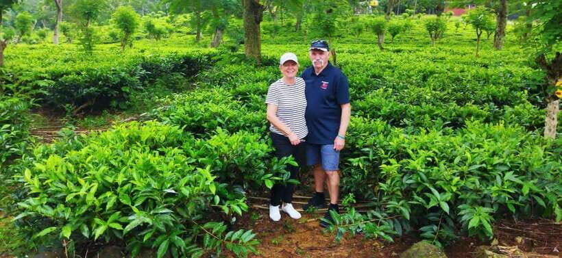 Ceylon Tea Experience from Colombo Port Passenger Terminal - Key Points You’ll Care About