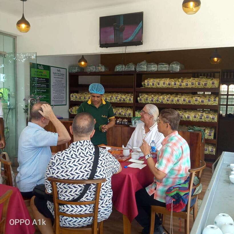 Ceylon Tea Experience from Colombo Port Passenger Terminal - Tea Plucking and Tea Manufacturing: What You’ll Actually See (and the Timing Trade-Off)