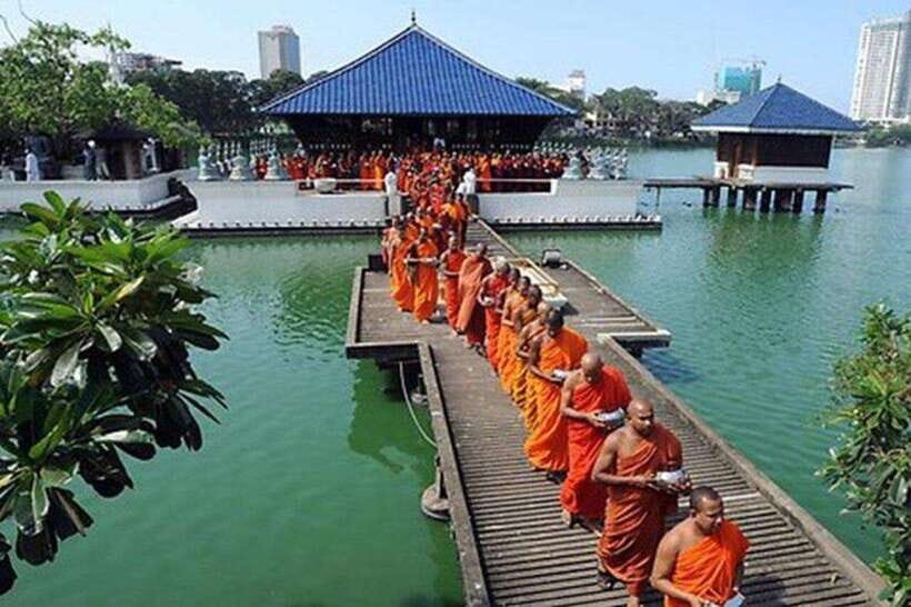Ceylon Tea Experience from Colombo Port Passenger Terminal - Should You Book This Ceylon Tea Experience from Colombo Port?