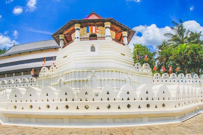 Chic Island | 10 Days Tour - Mirissa whale watching and Galle Dutch Fort with a resident guide