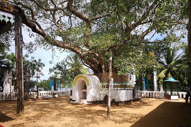 Coastal Ride to Galle from Colombo Seaport - Hikkaduwa Beach: 30 minutes of sand, palms, and sun time