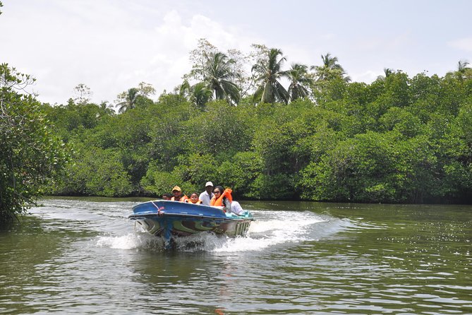 Coastal Ride to Galle from Colombo Seaport - Price and value: does $110 per person make sense?