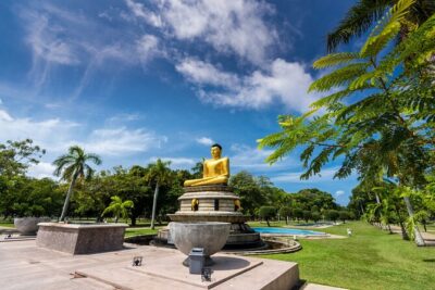 Colombo city tour by car ( Private ) - Your Driver and Route Flexibility: What You’ll Feel Once You’re Moving