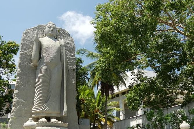Colombo City Tour from Negombo - Price and Value: What $70 Gets You From Negombo
