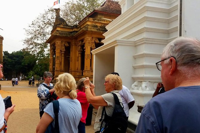 Colombo City Tour (small group with pickup from Cruise ship) - Price and value: what you actually pay for at $100