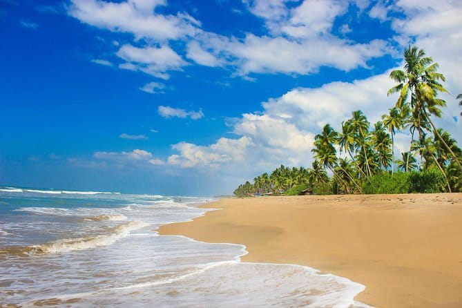 Colombo (CMB) Airport to Kandy City Private Transfer - Who This Transfer Fits Best in Your Trip