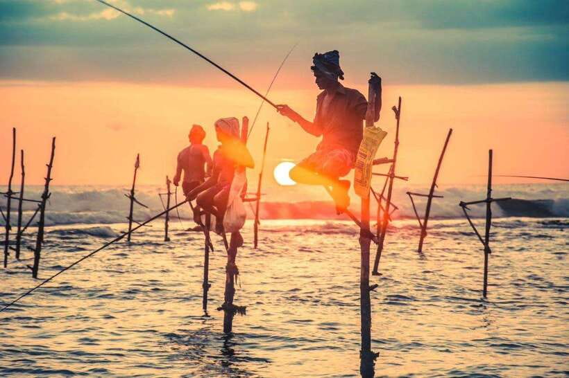 Colombo-Galle Fort, Boat Safari, Turtles, Amazing Group Tour - Key highlights worth your attention