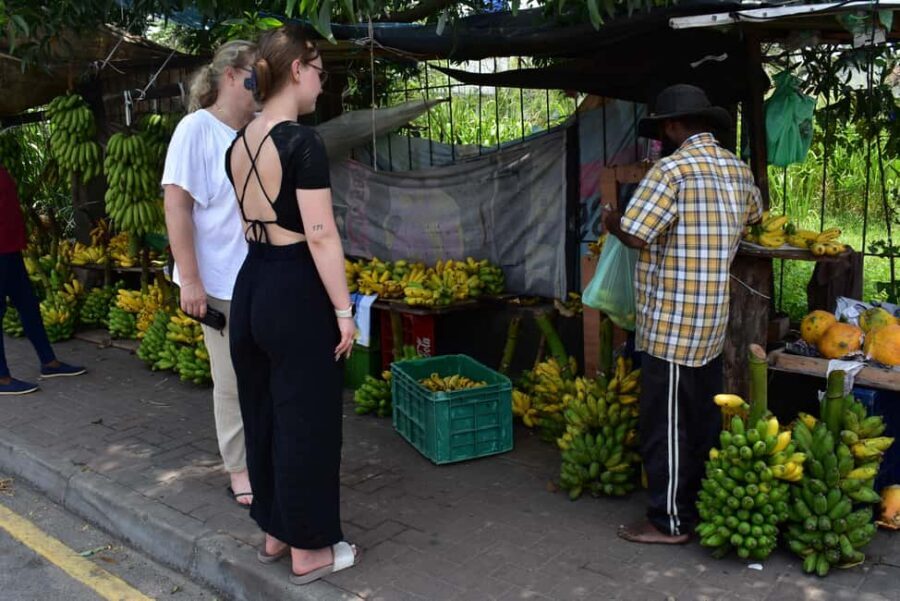 Colombo: HALF A DAY TOUR FROM NEGOMBO by car with Guiding - Getting back to Negombo: the day ends before you feel drained