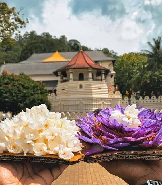 Colombo: Kandy and Pinnawala Orphanage Short Excursions - Artisan Craft Stops: Gems, Wood Carving, and Batik Shopping Without the Guesswork