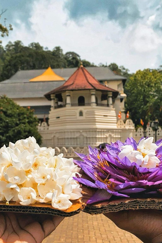 Colombo: Kandy and Pinnawala Orphanage Short Excursions - Peradeniya Botanical Gardens: 147 Acres of Plants You Can Actually Name