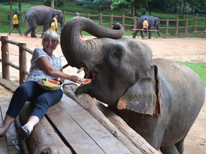 Colombo: Kandy and Pinnawala Orphanage Short Excursions - Kandy View Point: The Hill-Country Reality Check