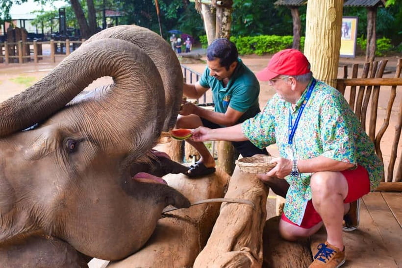 Colombo: Kandy and Pinnawala Orphanage Short Excursions - Price and Value: Is $68 Worth It for This Colombo Day Trip?
