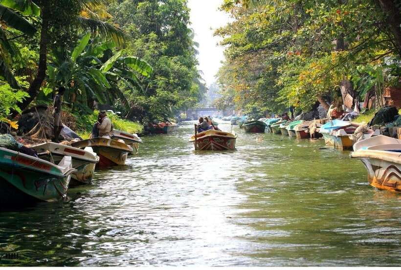 Colombo/Negombo: Muthurajawela & Dutch Canal Boat Adventure - Key highlights worth waking up for